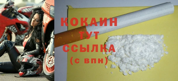 крисы Богородицк