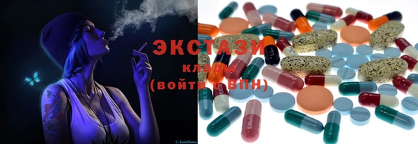 крисы Богородицк