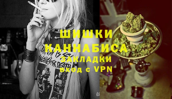 крисы Богородицк