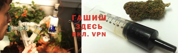 крисы Богородицк