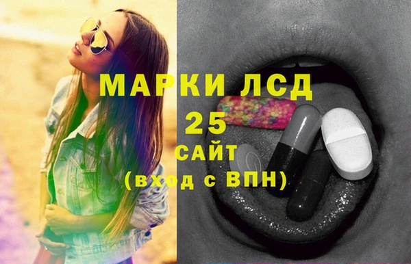 крисы Богородицк
