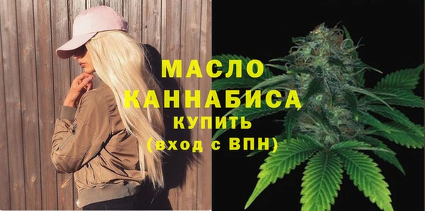 крисы Богородицк