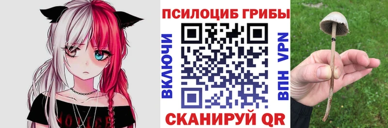 Псилоцибиновые грибы MAGIC MUSHROOMS  Мглин 